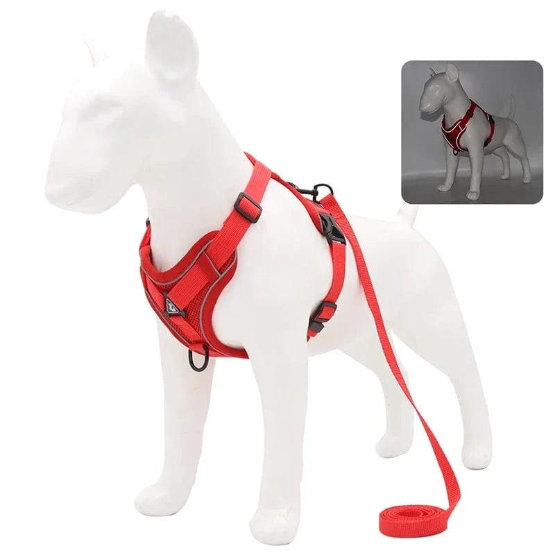 Harnais pour chien Réfléchissant et Ajustable