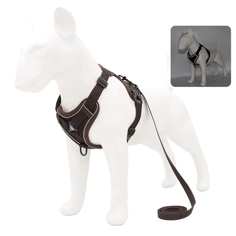 Harnais pour chien Réfléchissant et Ajustable