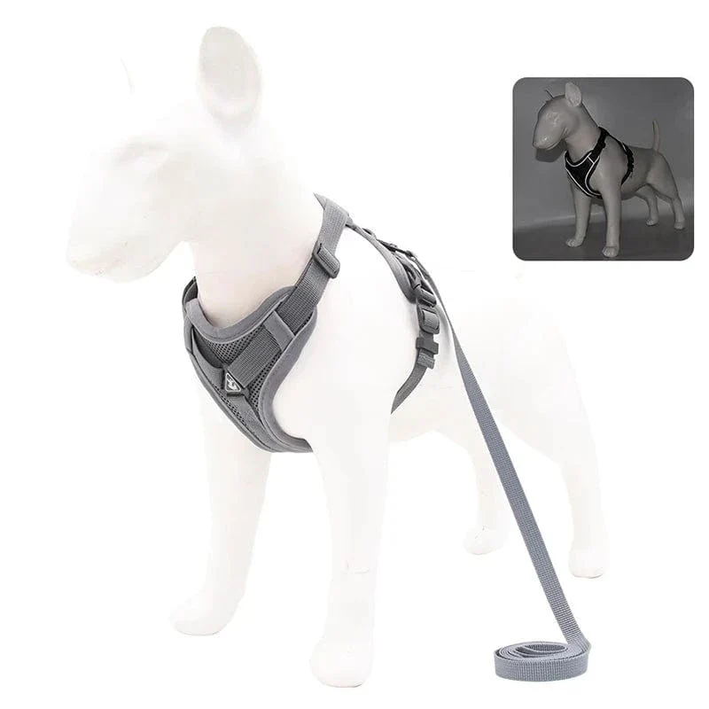 Harnais pour chien Réfléchissant et Ajustable