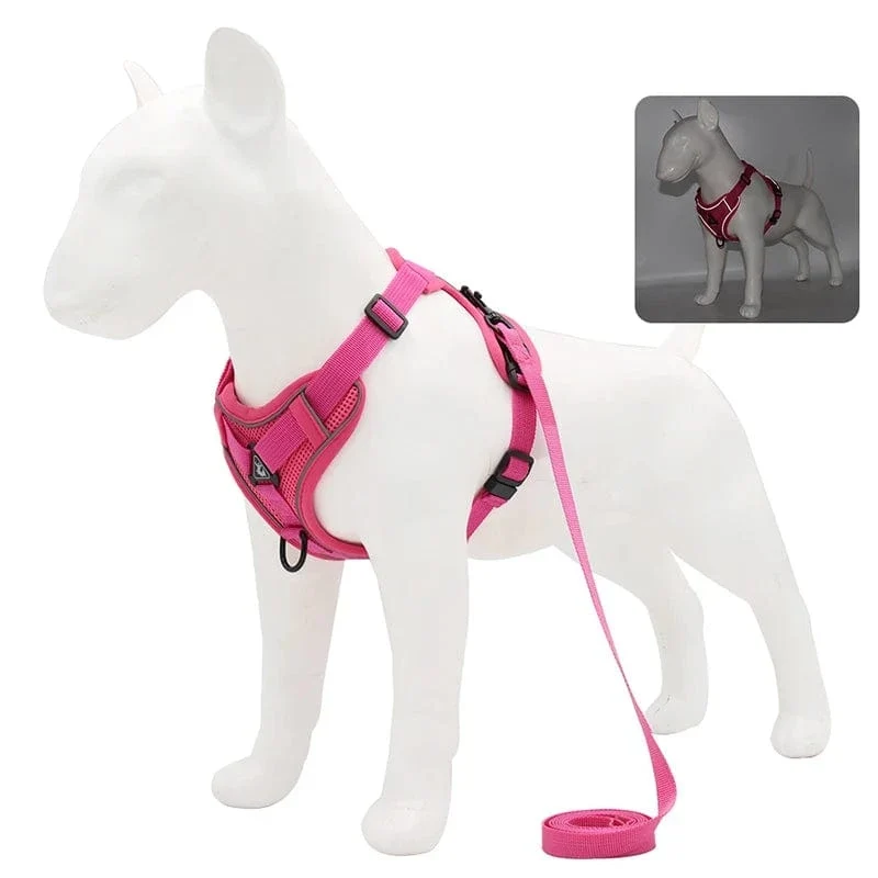 Harnais pour chien Réfléchissant et Ajustable