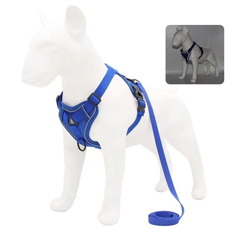Harnais pour chien Réfléchissant et Ajustable