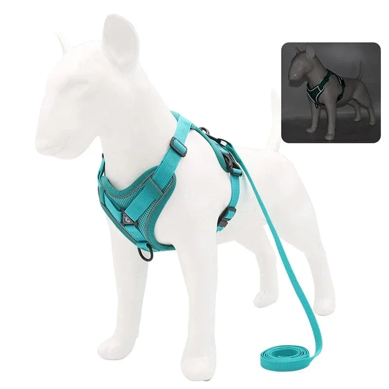 Harnais pour chien Réfléchissant et Ajustable