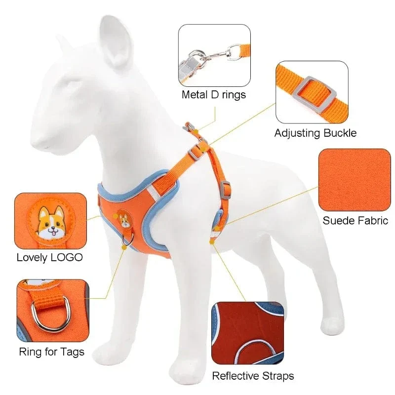Harnais pour chien réglable et réfléchissant