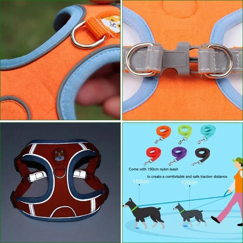 Harnais pour chien réglable et réfléchissant