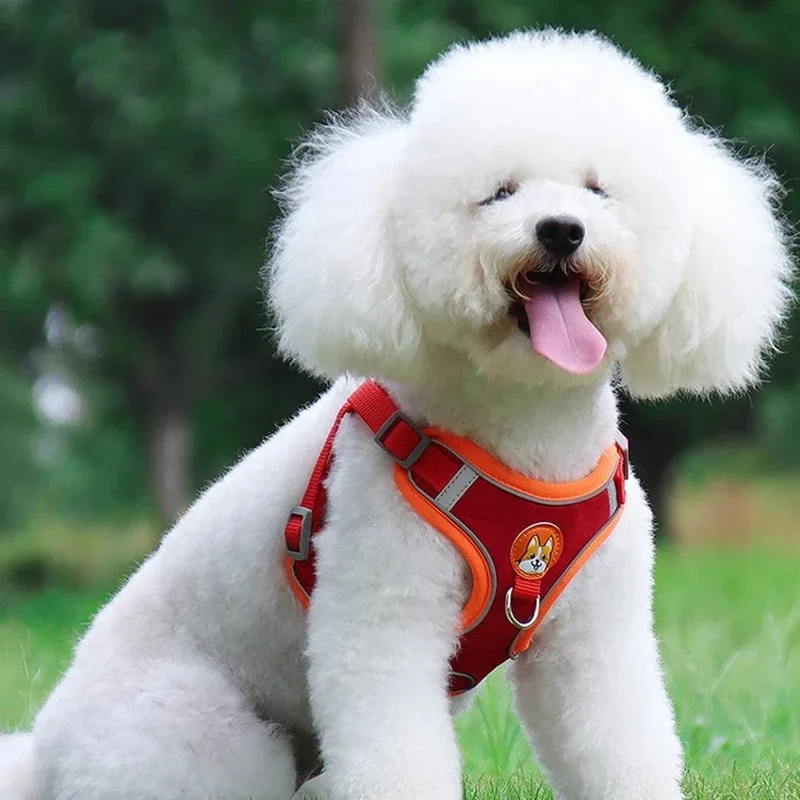 Harnais pour chien réglable et réfléchissant