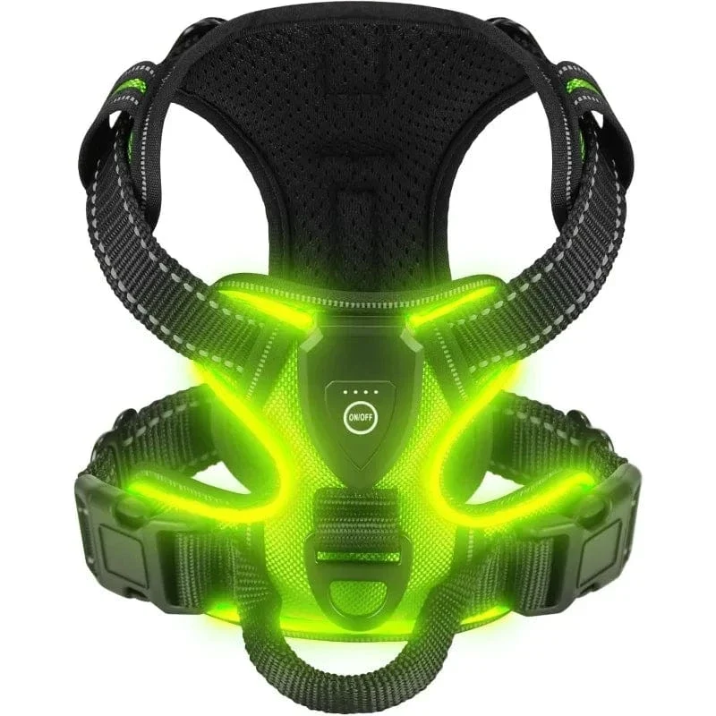 Harnais pour chien lumineux et sécurisé