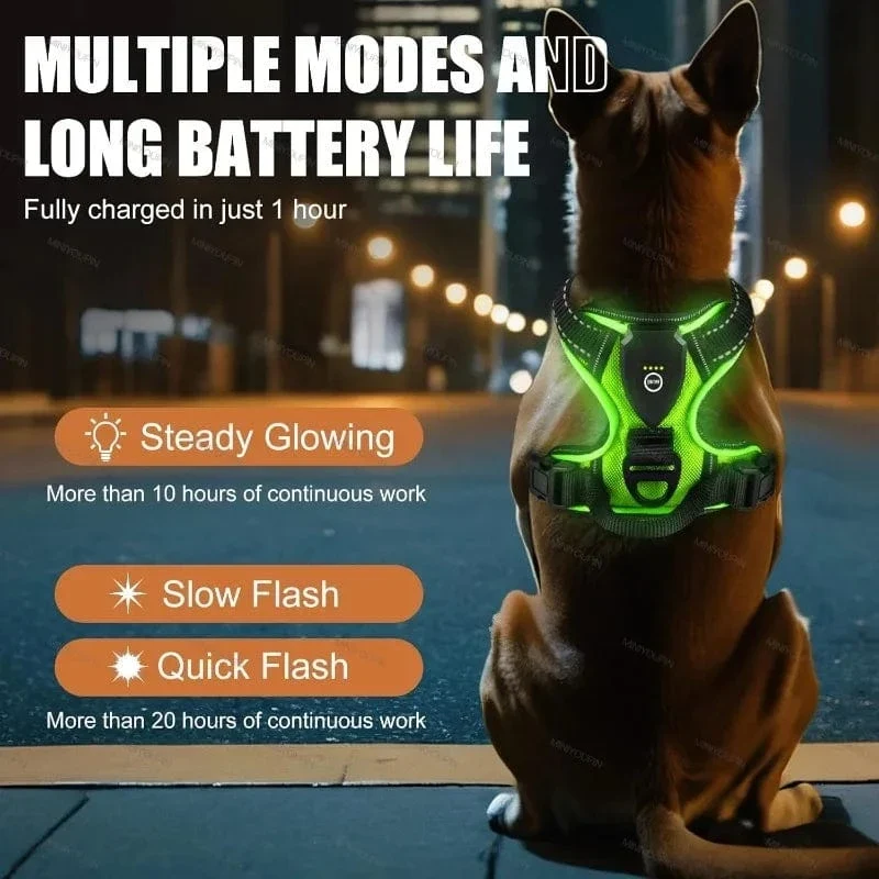 Harnais pour chien lumineux et sécurisé