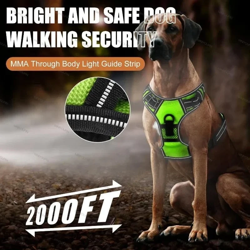 Harnais pour chien lumineux et sécurisé