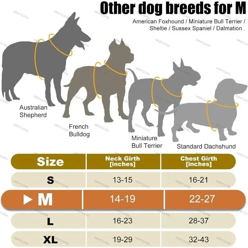 Harnais pour chien lumineux et sécurisé