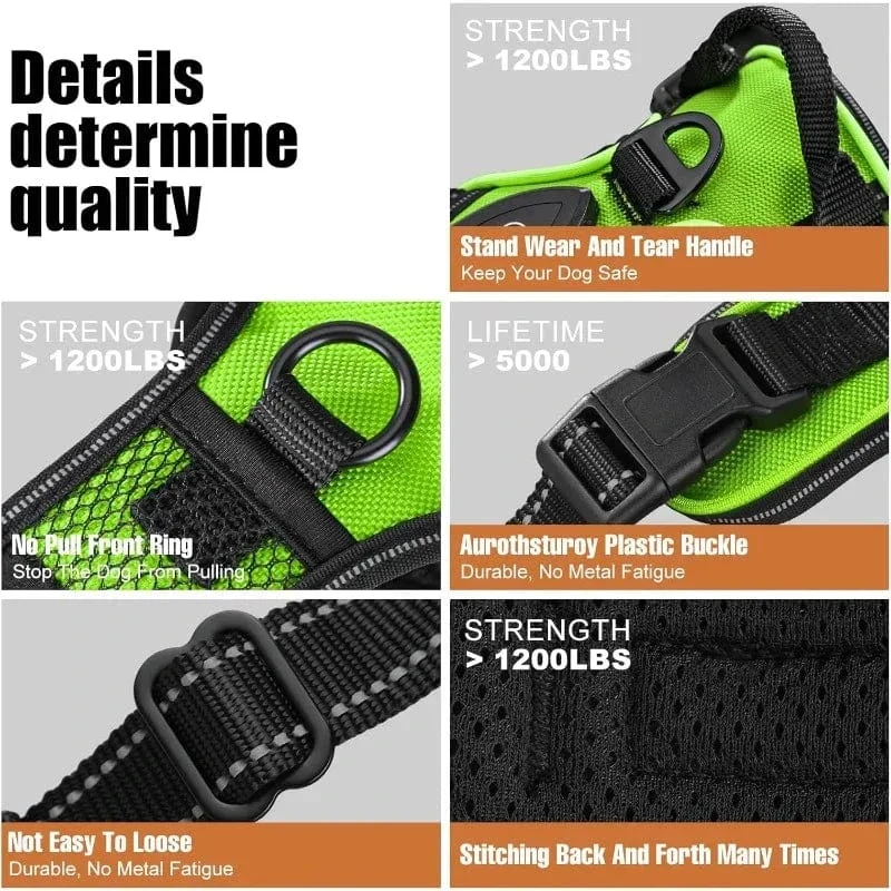 Harnais pour chien lumineux et sécurisé