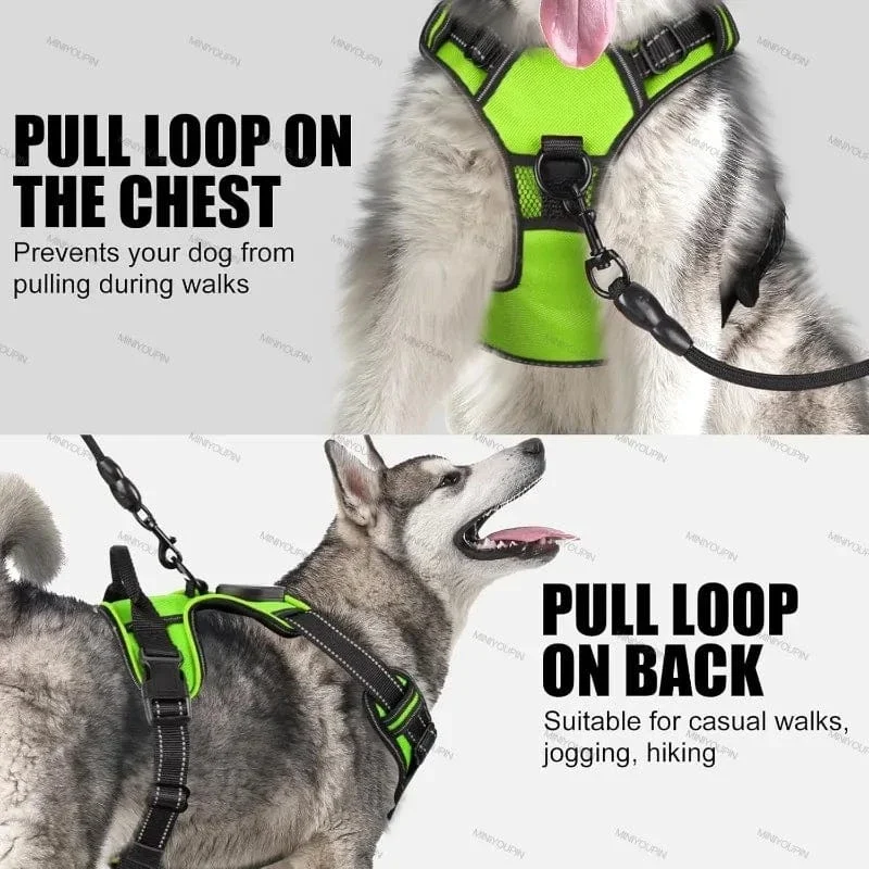 Harnais pour chien lumineux et sécurisé