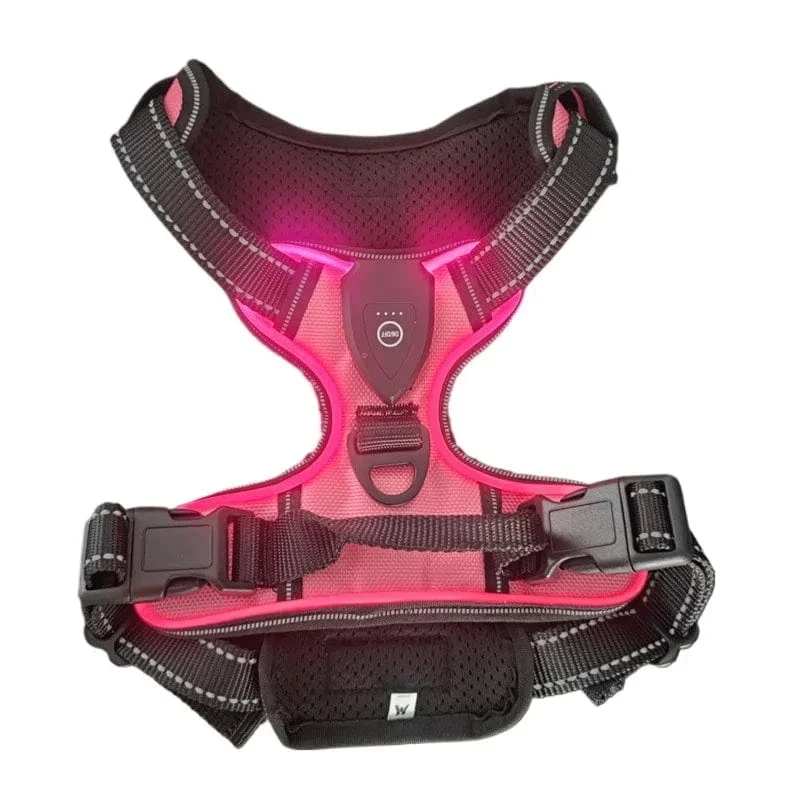 Harnais pour chien lumineux et sécurisé