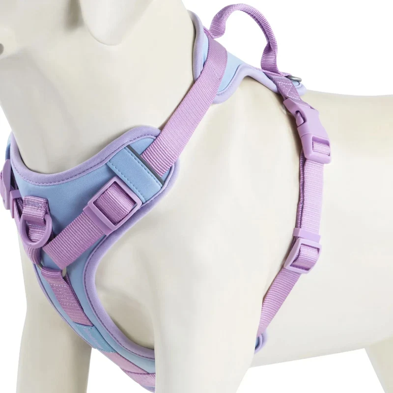 Harnais pour chien respirant et ajustable, idéal pour petits et grands chiens