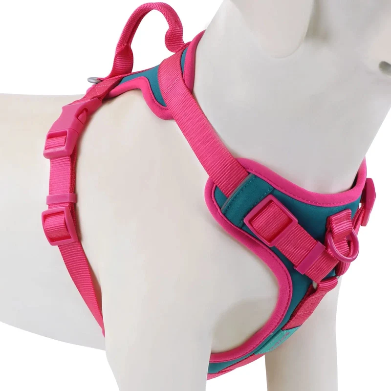 Harnais pour chien respirant et ajustable, idéal pour petits et grands chiens
