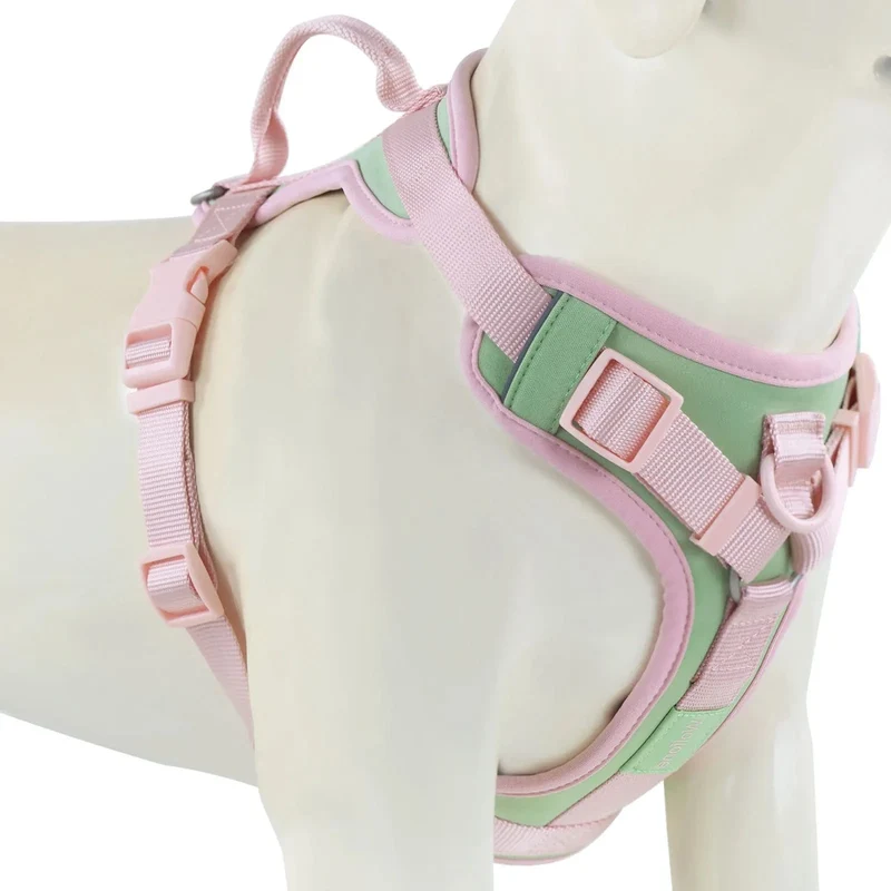 Harnais pour chien respirant et ajustable, idéal pour petits et grands chiens