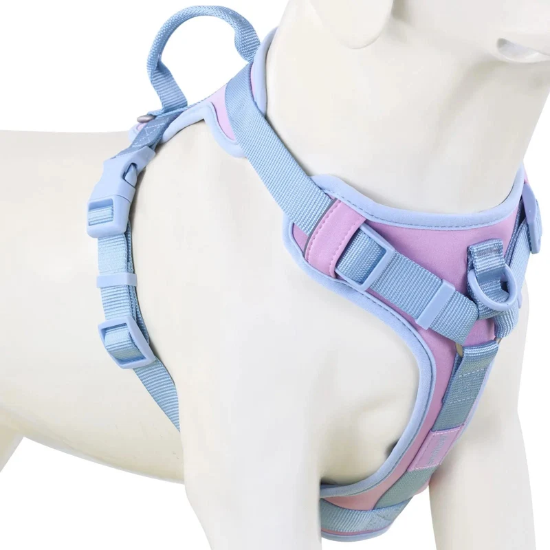 Harnais pour chien respirant et ajustable, idéal pour petits et grands chiens