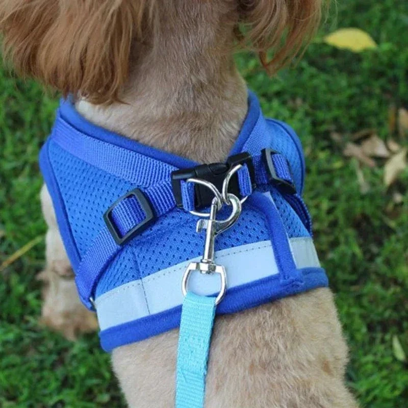 Harnais pour chien réglable en maille avec laisse et collier