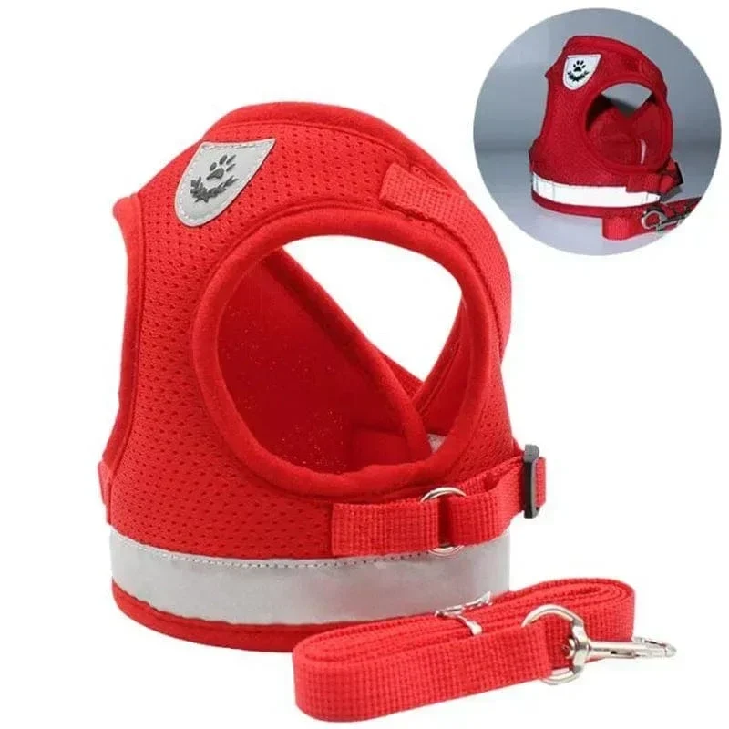 Harnais pour chien réglable en maille avec laisse et collier
