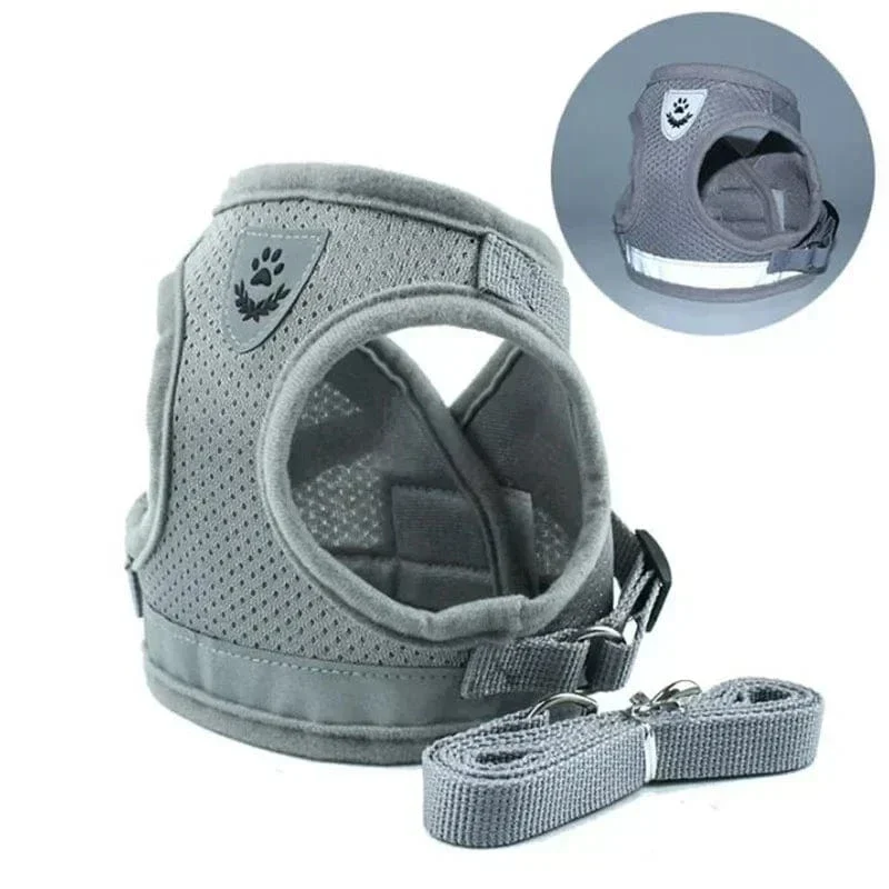 Harnais pour chien réglable en maille avec laisse et collier