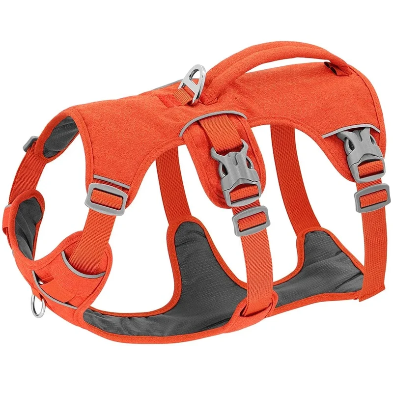 Harnais pour chien réfléchissant et durable
