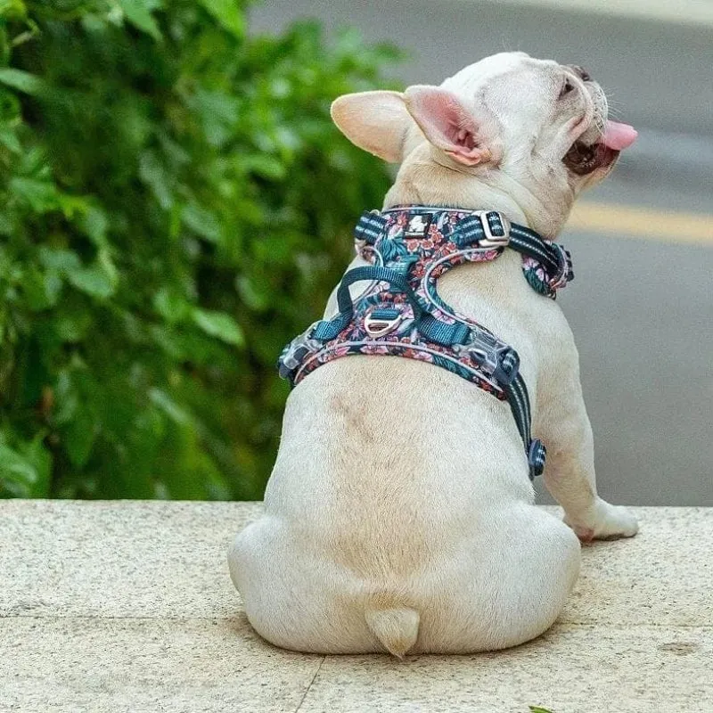 Harnais pour chien Confortable et Résistant