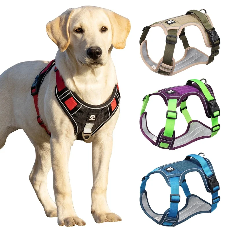 Harnais pour chien résistant et imperméable