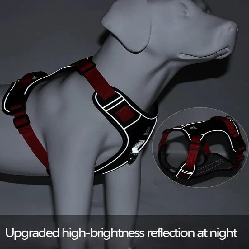 Harnais pour chien résistant et imperméable