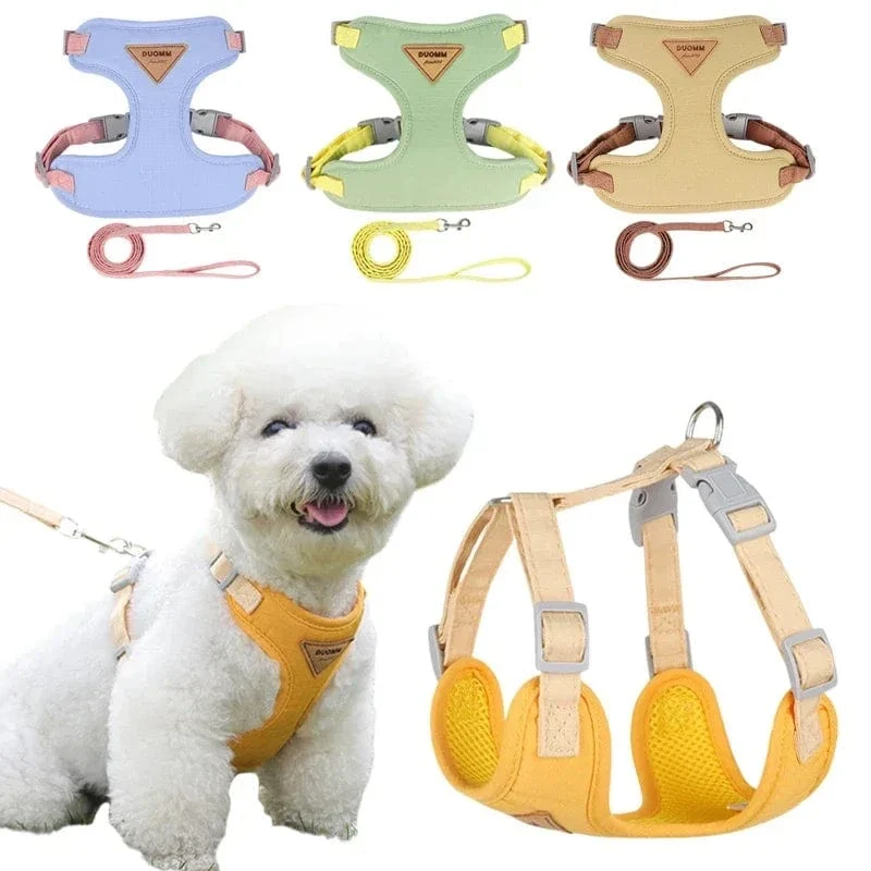 Ensemble Harnais pour Chien et Laisse Confortable
