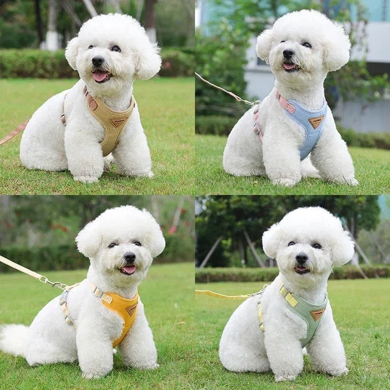Ensemble Harnais pour Chien et Laisse Confortable