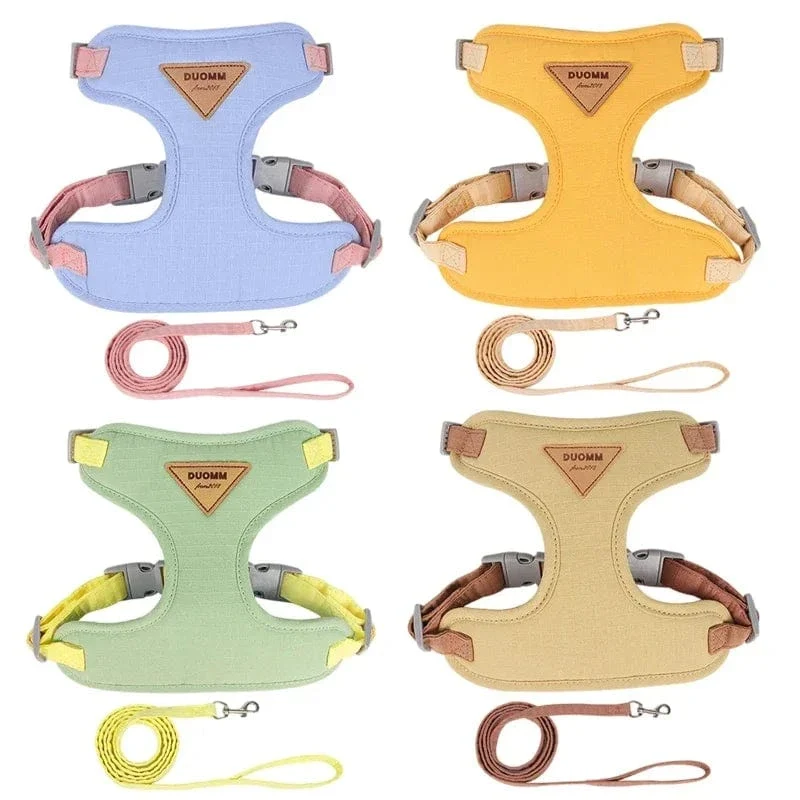 Ensemble Harnais pour Chien et Laisse Confortable