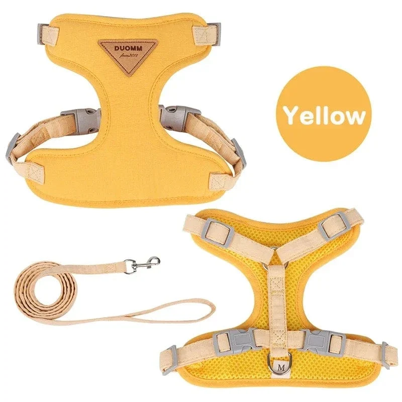 Ensemble Harnais pour Chien et Laisse Confortable