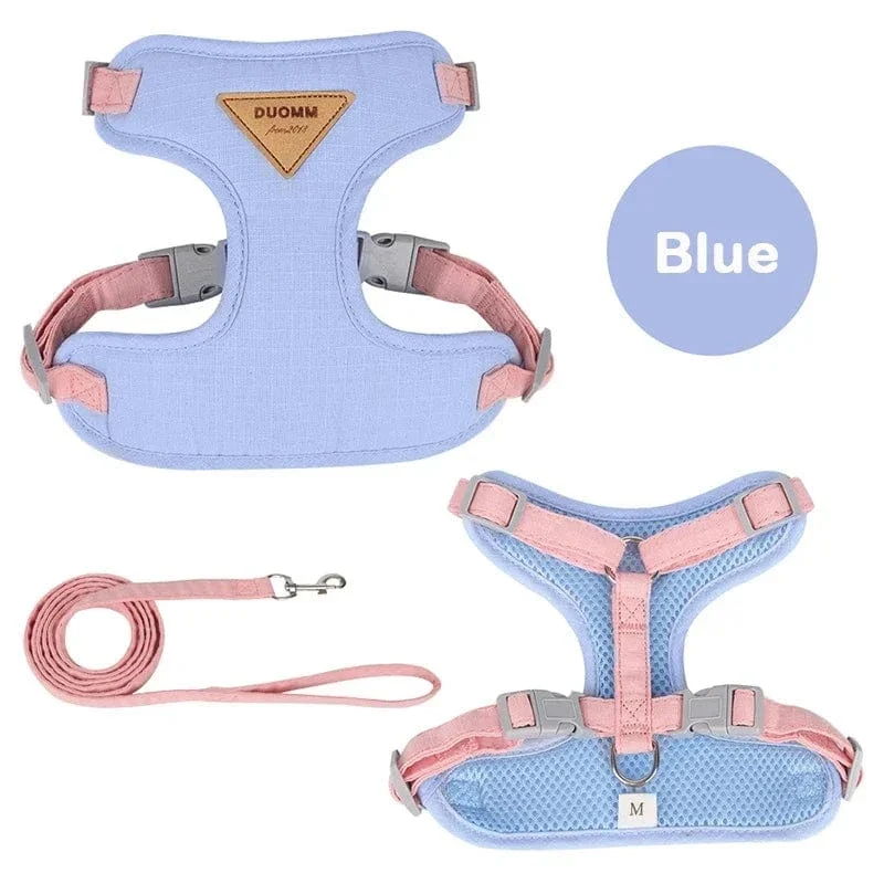Ensemble Harnais pour Chien et Laisse Confortable