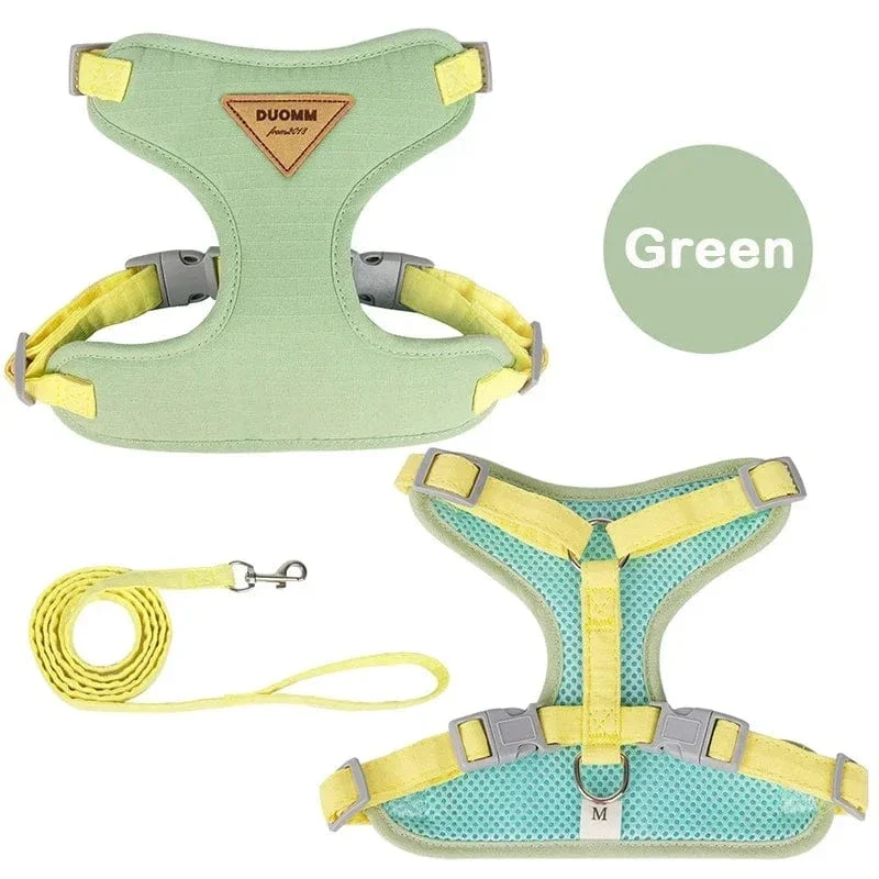 Ensemble Harnais pour Chien et Laisse Confortable