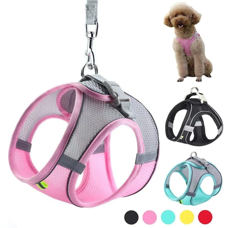 Harnais pour chien doux et ajustable avec laisse
