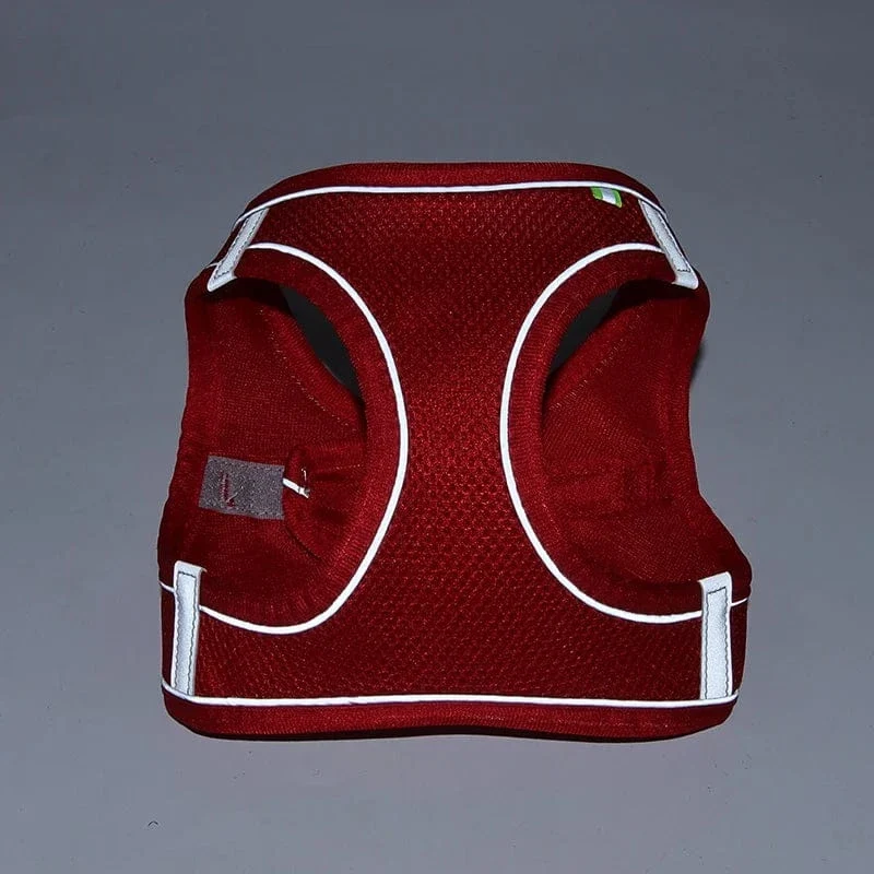 Harnais pour chien doux et ajustable avec laisse
