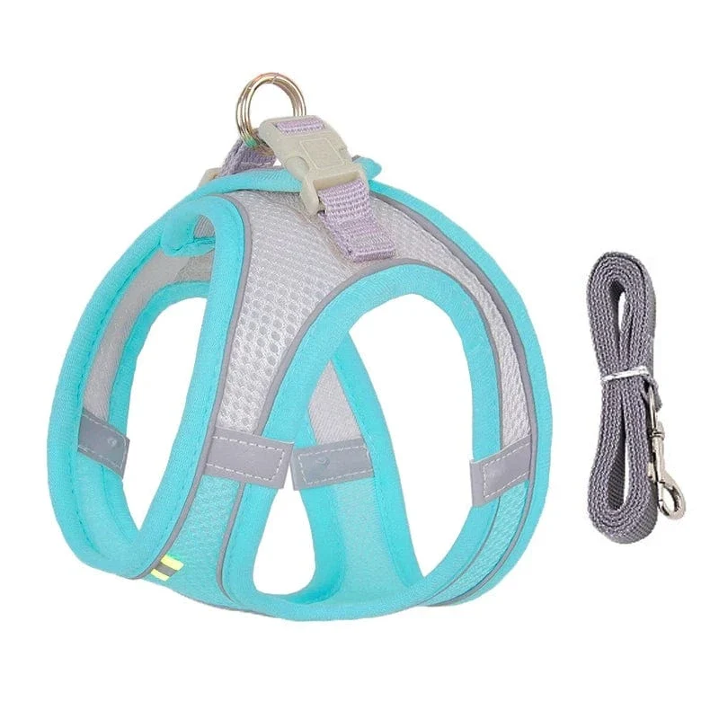 Harnais pour chien doux et ajustable avec laisse