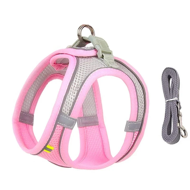 Harnais pour chien doux et ajustable avec laisse