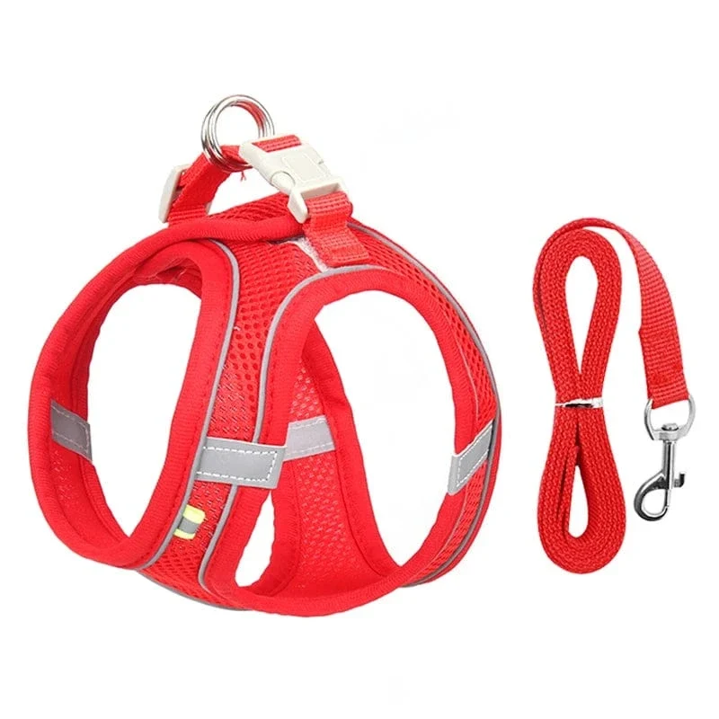 Harnais pour chien doux et ajustable avec laisse