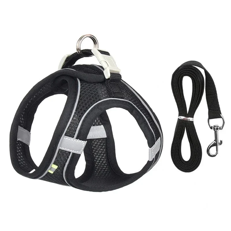 Harnais pour chien doux et ajustable avec laisse