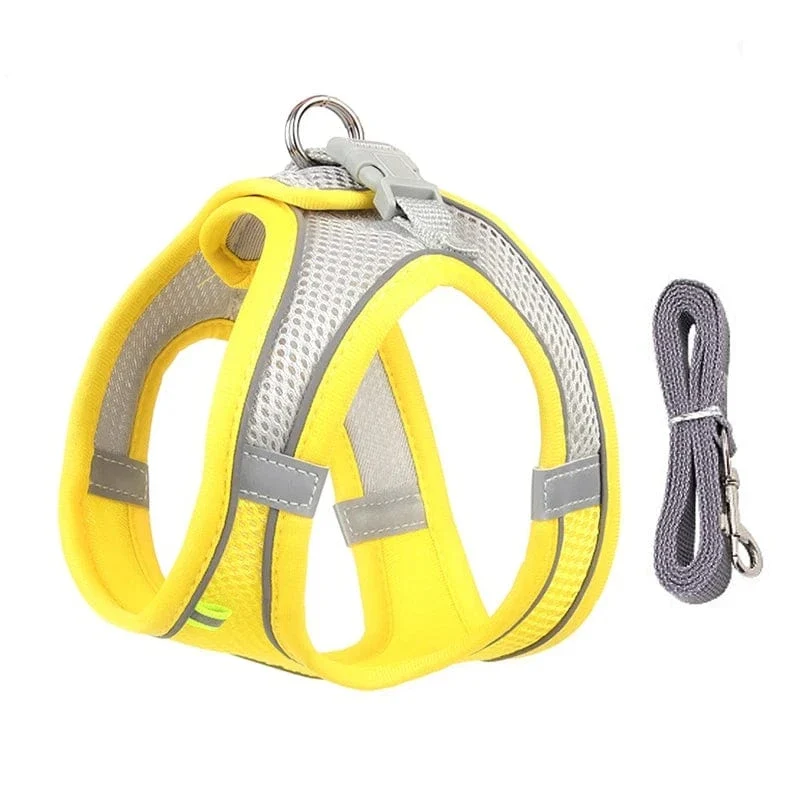 Harnais pour chien doux et ajustable avec laisse