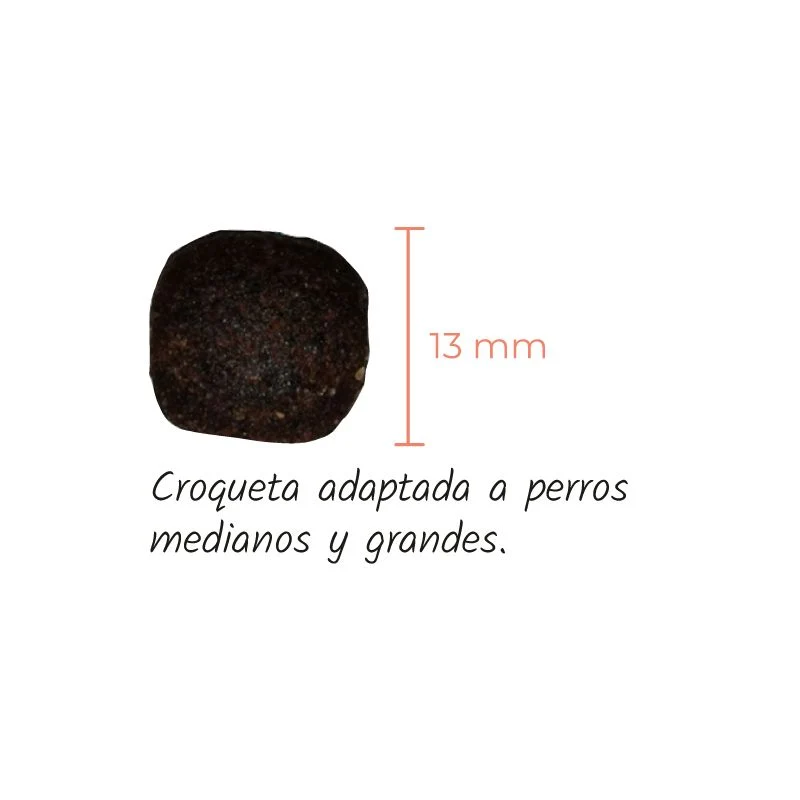 LENDA PERROS MEDIUM SALMON