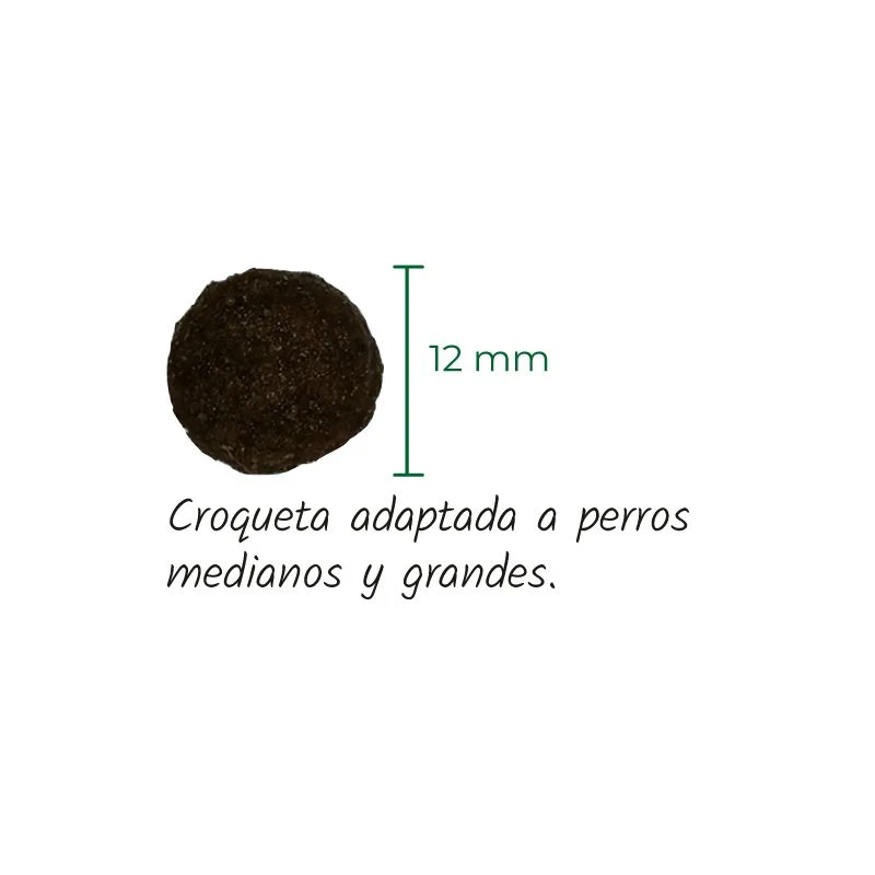 LENDA PERROS MEDIUM CORDERO