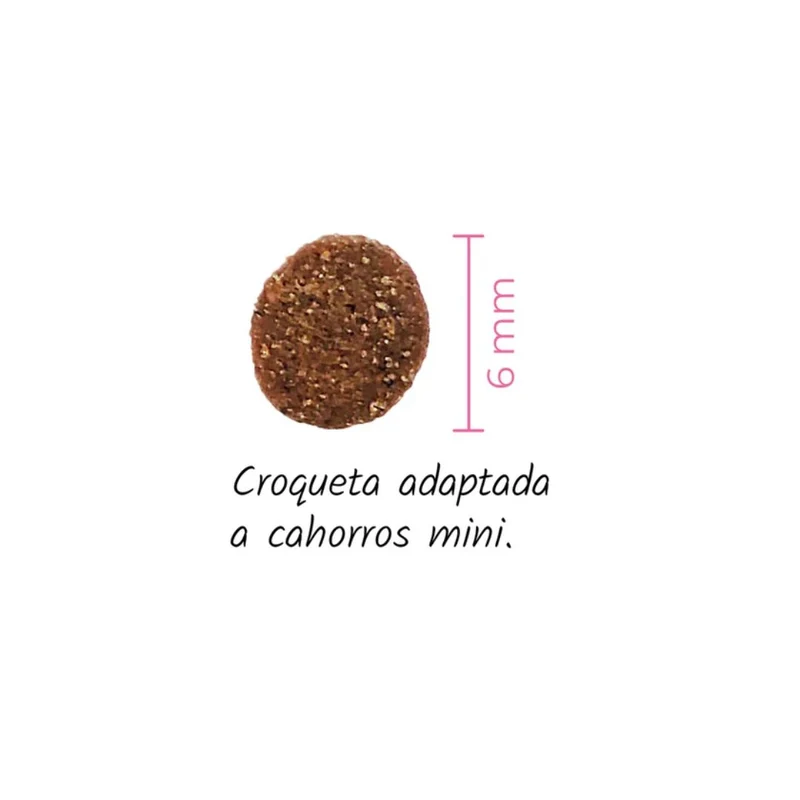 LENDA PERROS PUPPY MINI FIRST BITE 2 KG
