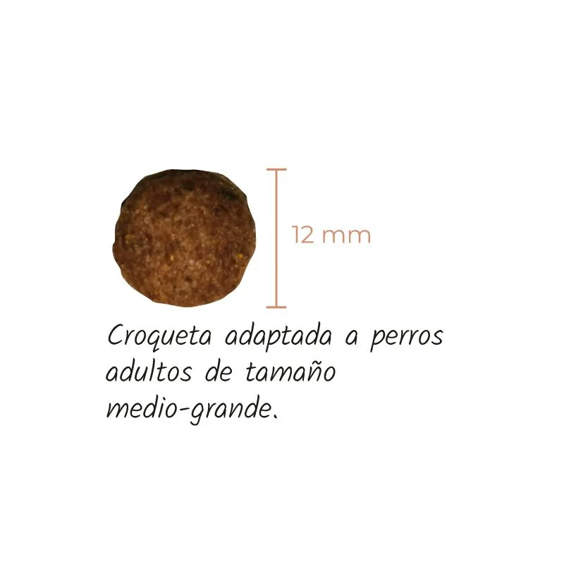 LENDA PERROS NATURE SENIOR MOBILITY LOW GRAIN