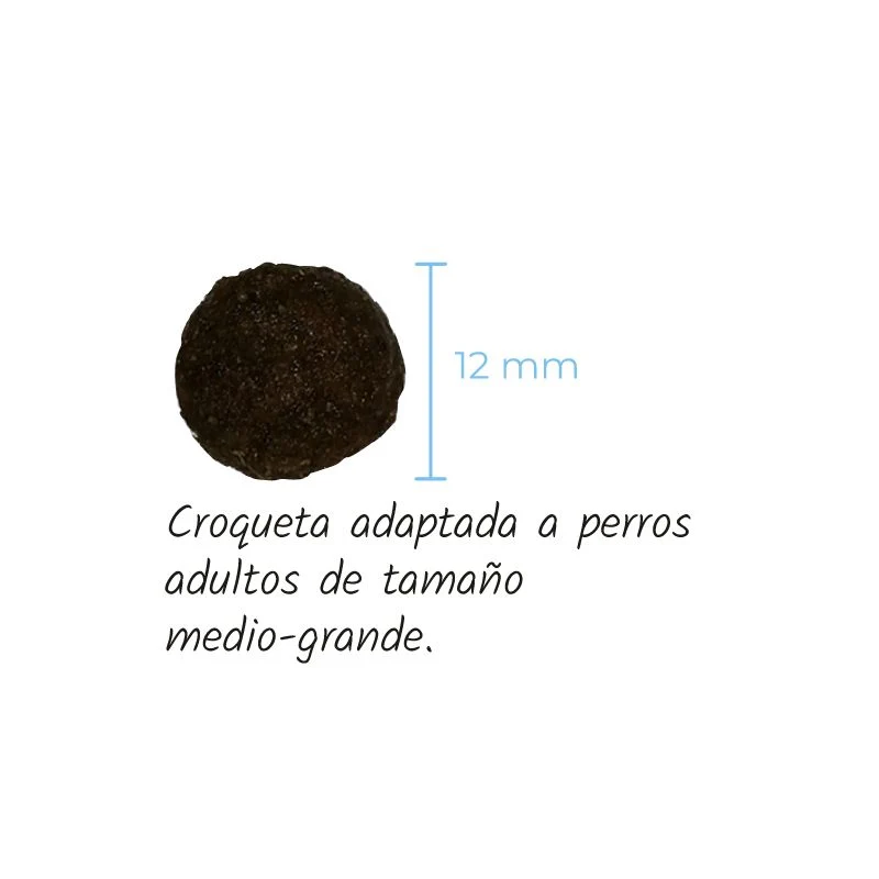 LENDA PERROS ATUN GRAIN FREE