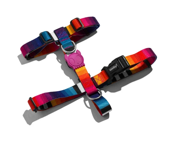 Zee.Dog Prisma H Harness