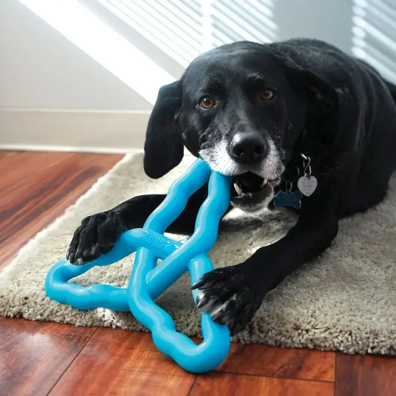KONG Flyangle Assorted L Juguete para Perros