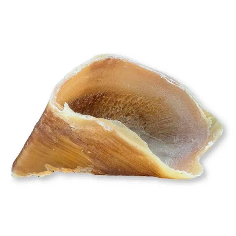 Hobbitalf Pezuña de Ternera Ahumada Snack Natural para Perros