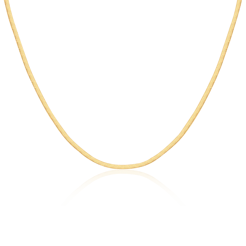 Collar Taylor 3MM