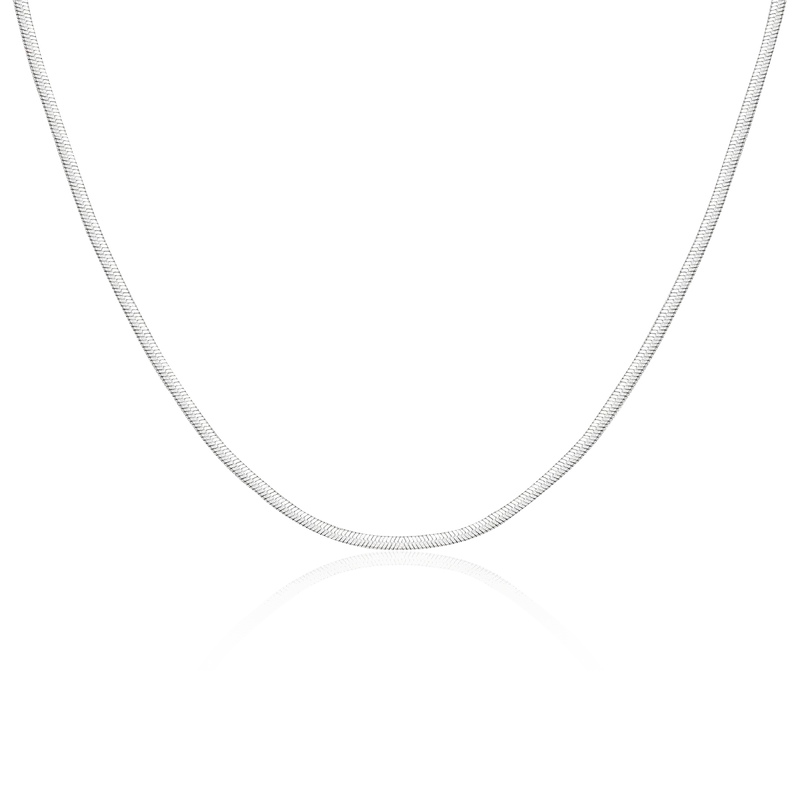 Collar Taylor 3MM